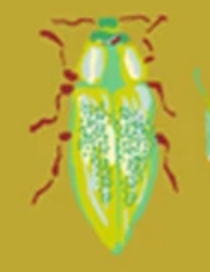 Insectarium Square Dance Panel 54651DP-X Multi Windham Fabrics