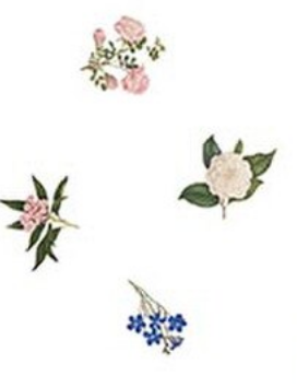 SHOCK DROP! Everbloom Flower Toss White CD18053-WHITE RHS Collection Riley Blake 1 Yard Cut