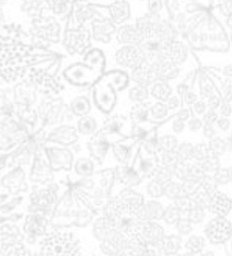 Tiny Tonals TT36A Butterfly Floral White on White Lewis & Irene Half Yard