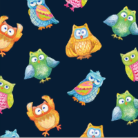 Wee Ones OA-594041 Owls Navy Oasis Fabrics Half Yard