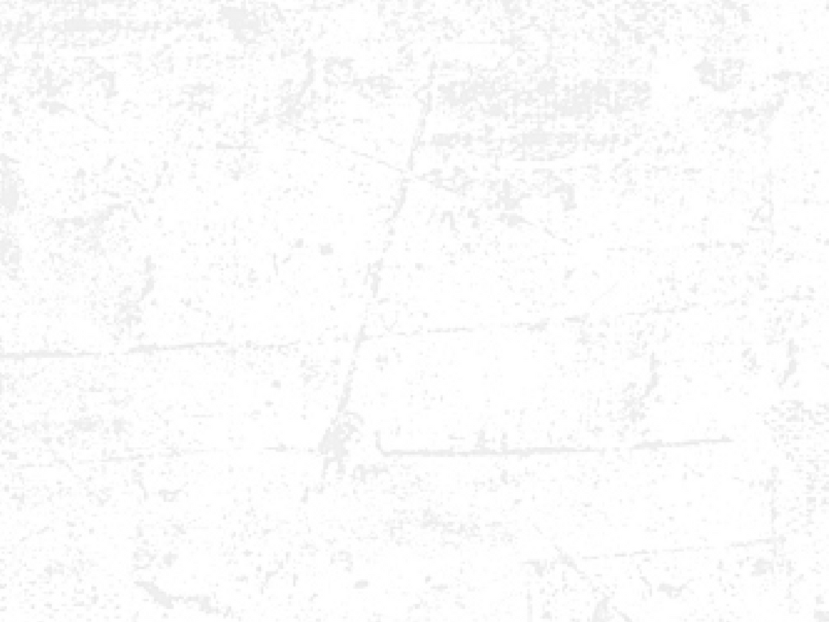 Farmhouse Sampler 9030-10 Canvas Whitewash Deborah Edwards Northcott Half Yard