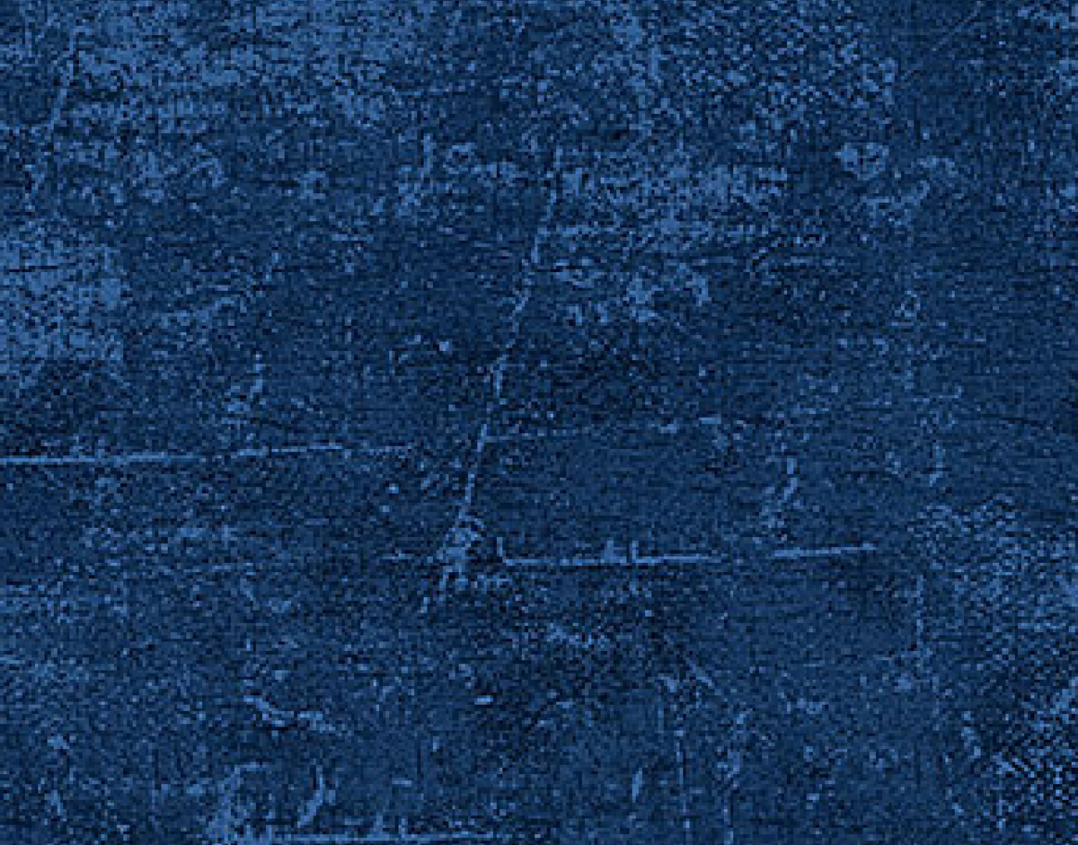 Farmhouse Sampler 9030-49 Canvas Navy Deborah Edwards Northcott Half Yard