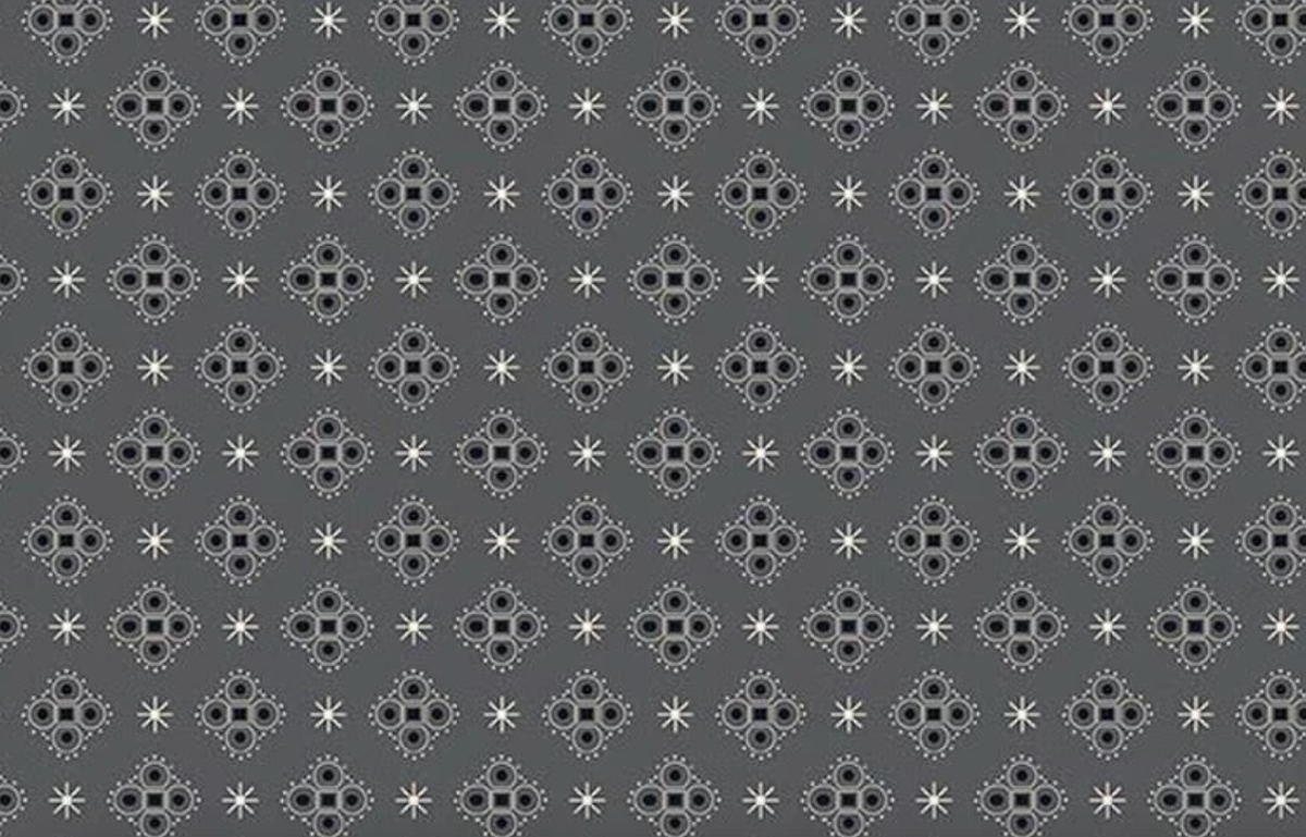 Pumpkin & Licorice C18794­-SHADOW Starshine Shadow Lori Holt Riley Blake Half Yard