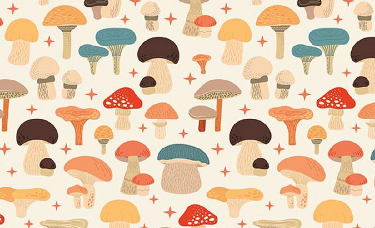 Secret Garden C18041­-CLOUD Mushrooms Riley Blake Half Yard