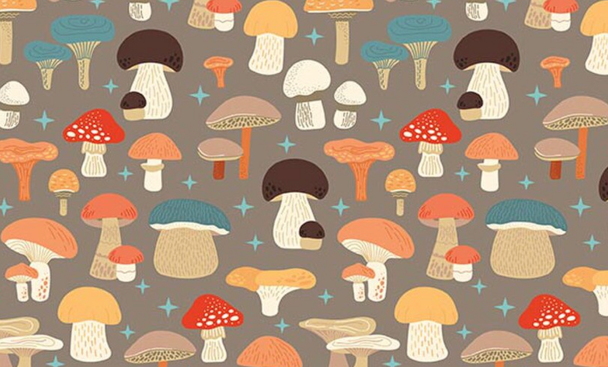 Secret Garden C18041­-CHESTNUT Mushrooms Riley Blake Half Yard