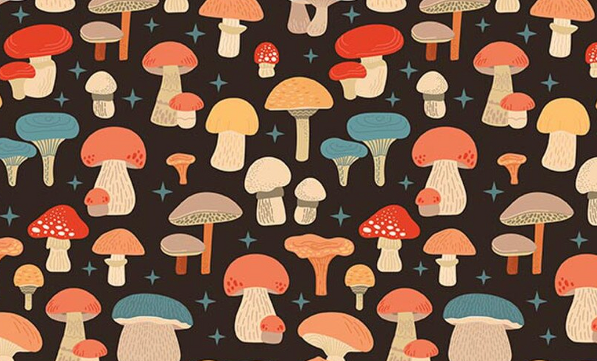 Secret Garden C18041­-BLACK Mushrooms Riley Blake Half Yard