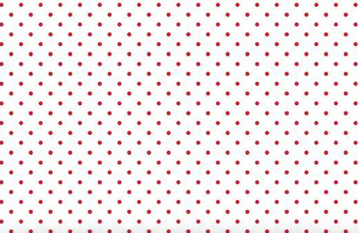 Swiss Dot WB660­-RED Wide Back Red on White Riley Blake Yard