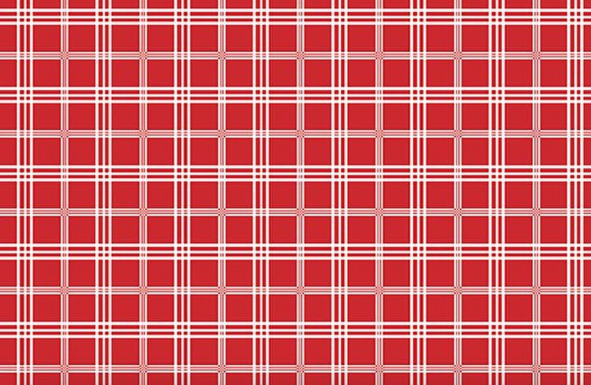 Hooray for the USA C18694-RED Plaid Red Dani Mogstad Riley Blake Half Yard