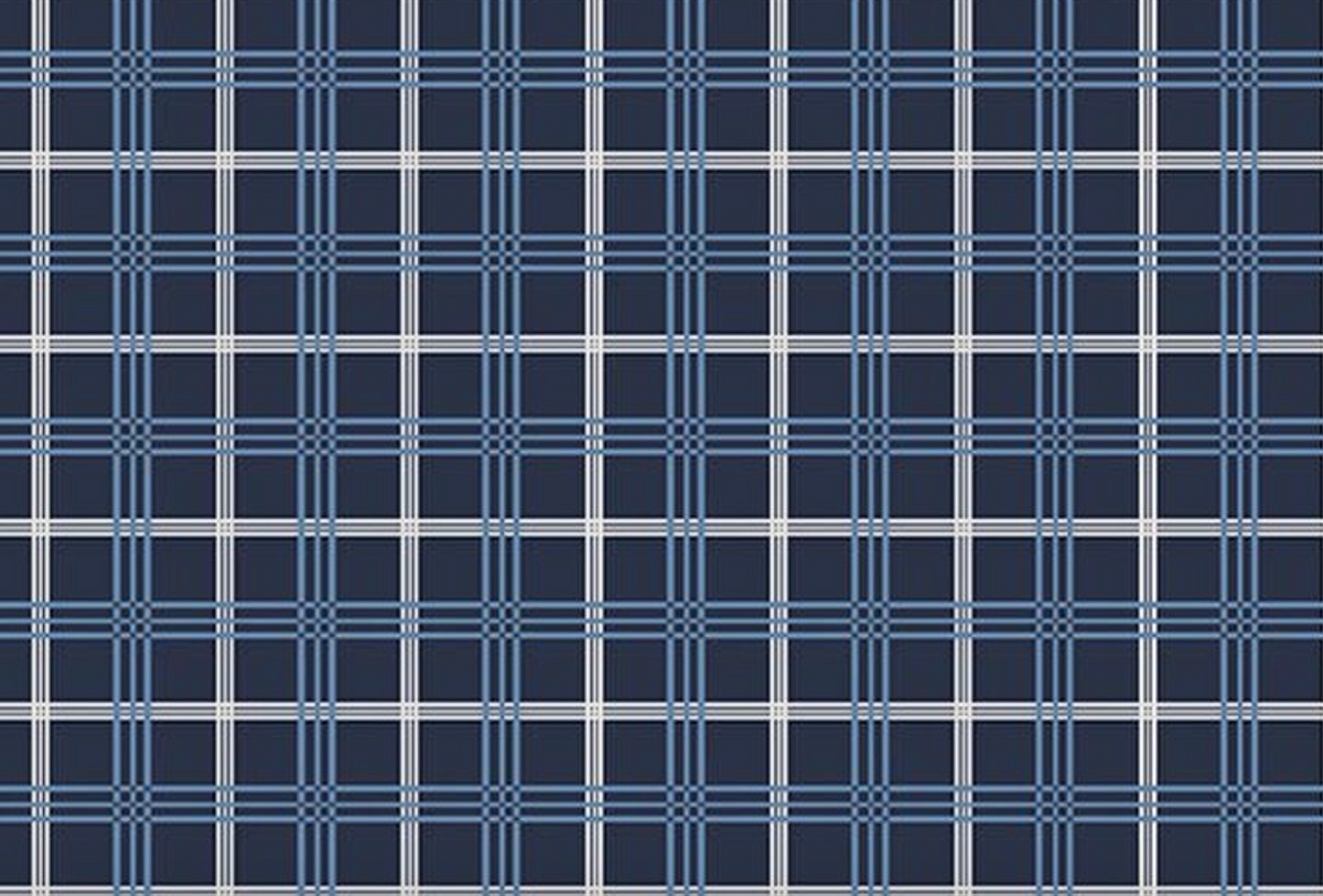 Hooray for the USA C18694-NAVY Plaid Navy Dani Mogstad Riley Blake Half Yard