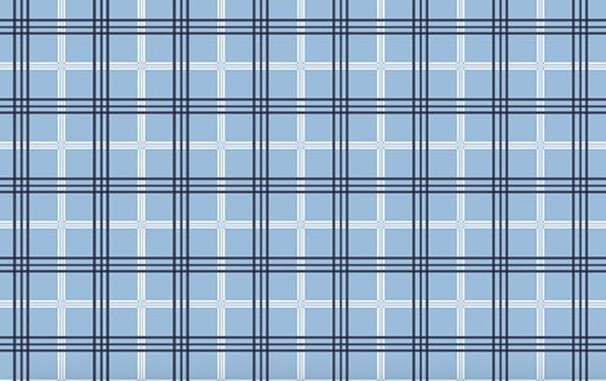 Hooray for the USA C18694-BLUE Plaid Blue Dani Mogstad Riley Blake Half Yard