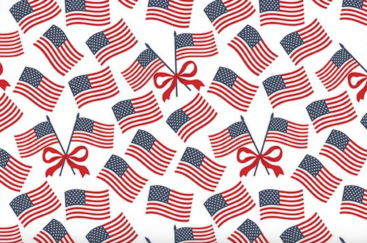 Hooray for the USA C18693-WHITE Flags White Dani Mogstad Riley Blake Half Yard