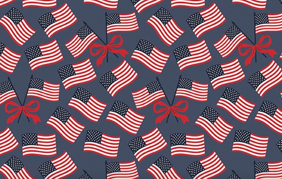 Hooray for the USA C18693-DENIM Flags Denim Dani Mogstad Riley Blake Half Yard