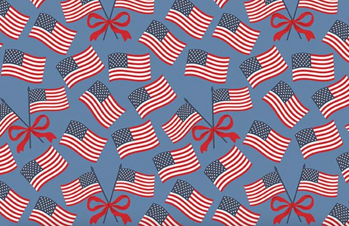 Hooray for the USA C18693-BLUE Flags Blue Dani Mogstad Riley Blake Half Yard