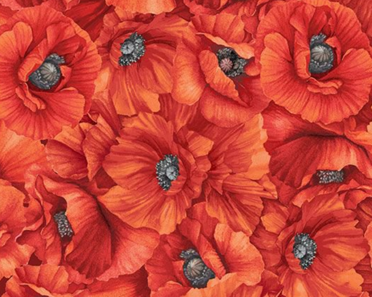 Spring Awakening FLORA-CD4584 RED Packed Poppies Timeless Treasures Half Yard