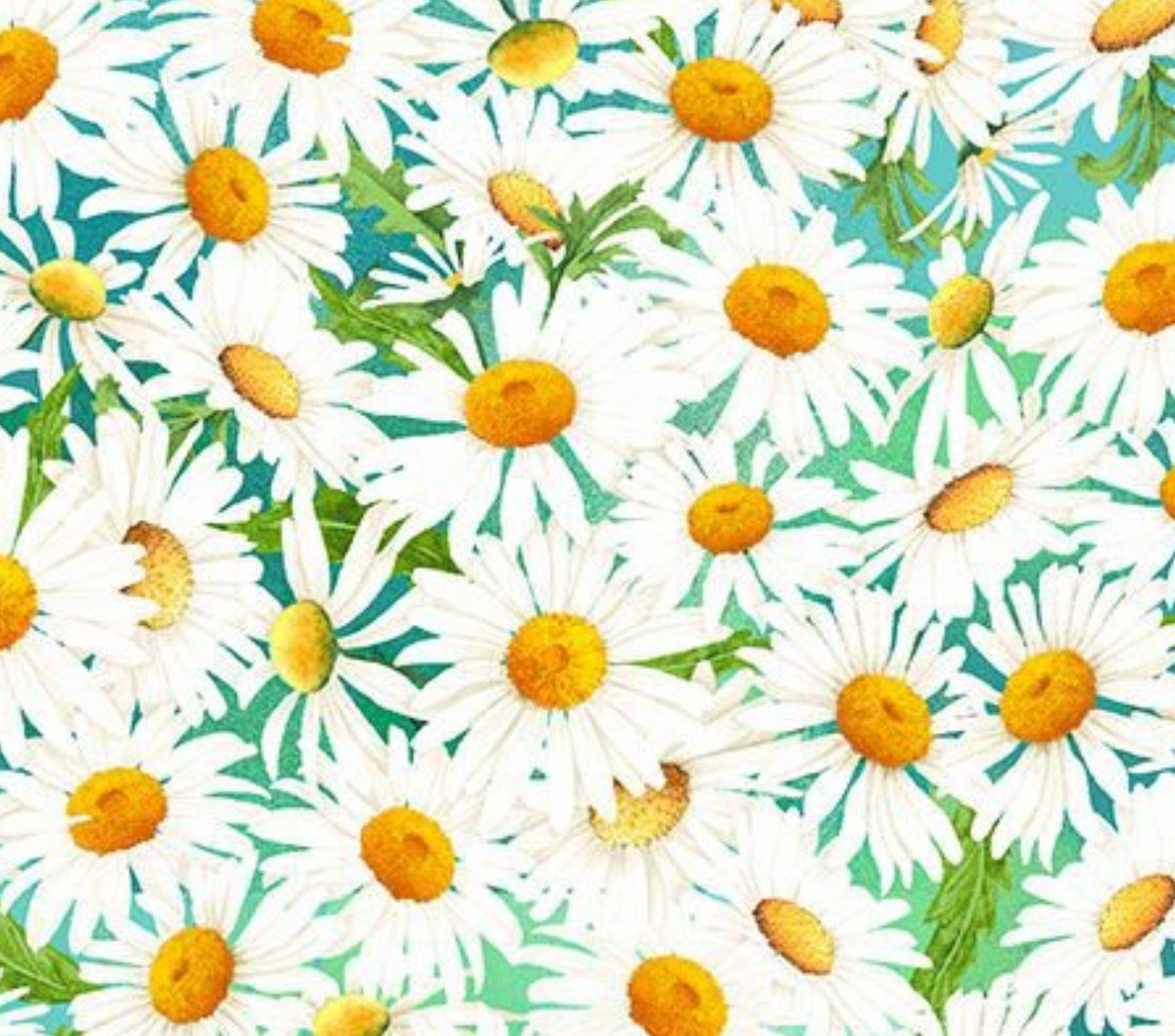 Spring Awakening FLORA-CD4585 DAISY Wild Daisy Field Timeless Treasures Half Yard