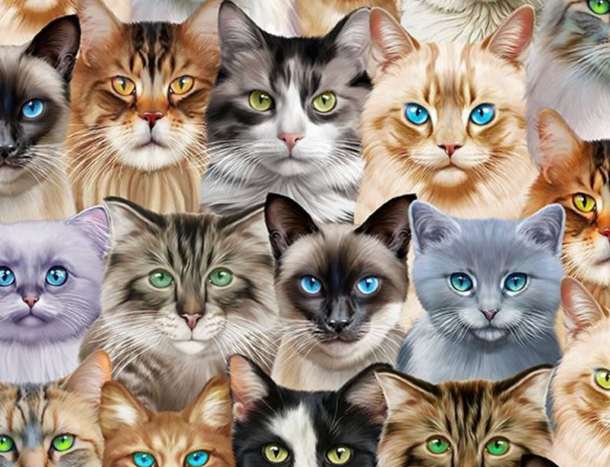 Kitty Cat Club MICHAEL-CD4578 MULTI Stacked Cats Michael Searle Timeless Treasures Half Yard