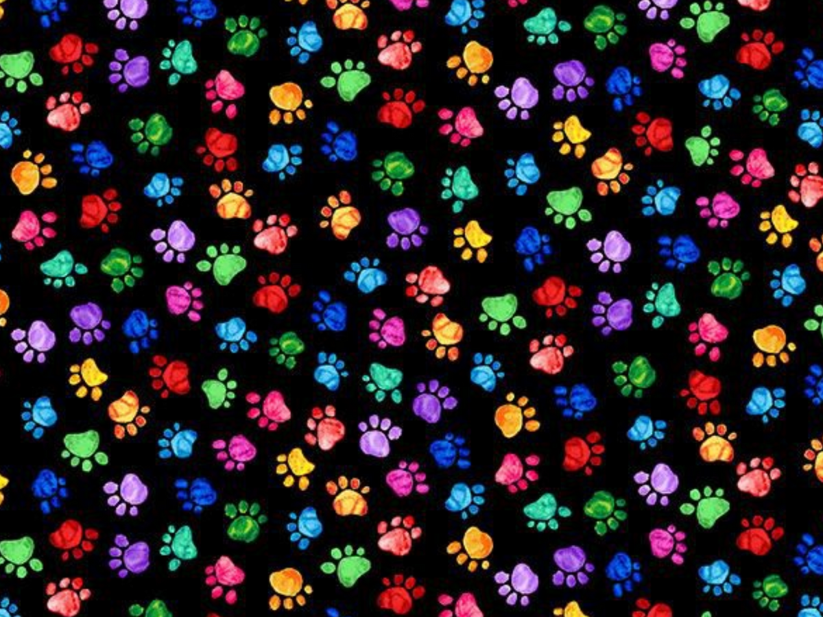 Purrsonality CAT-CD4605 BRITE Cat's Multi Paws Chong-a Hwang Timeless Treasures Half Yard