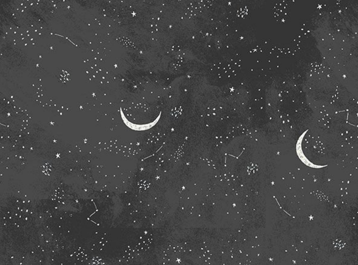 Timber & Tail STELLA-D3860 CHARCOAL Velvet Sky Dear Stella Half Yard