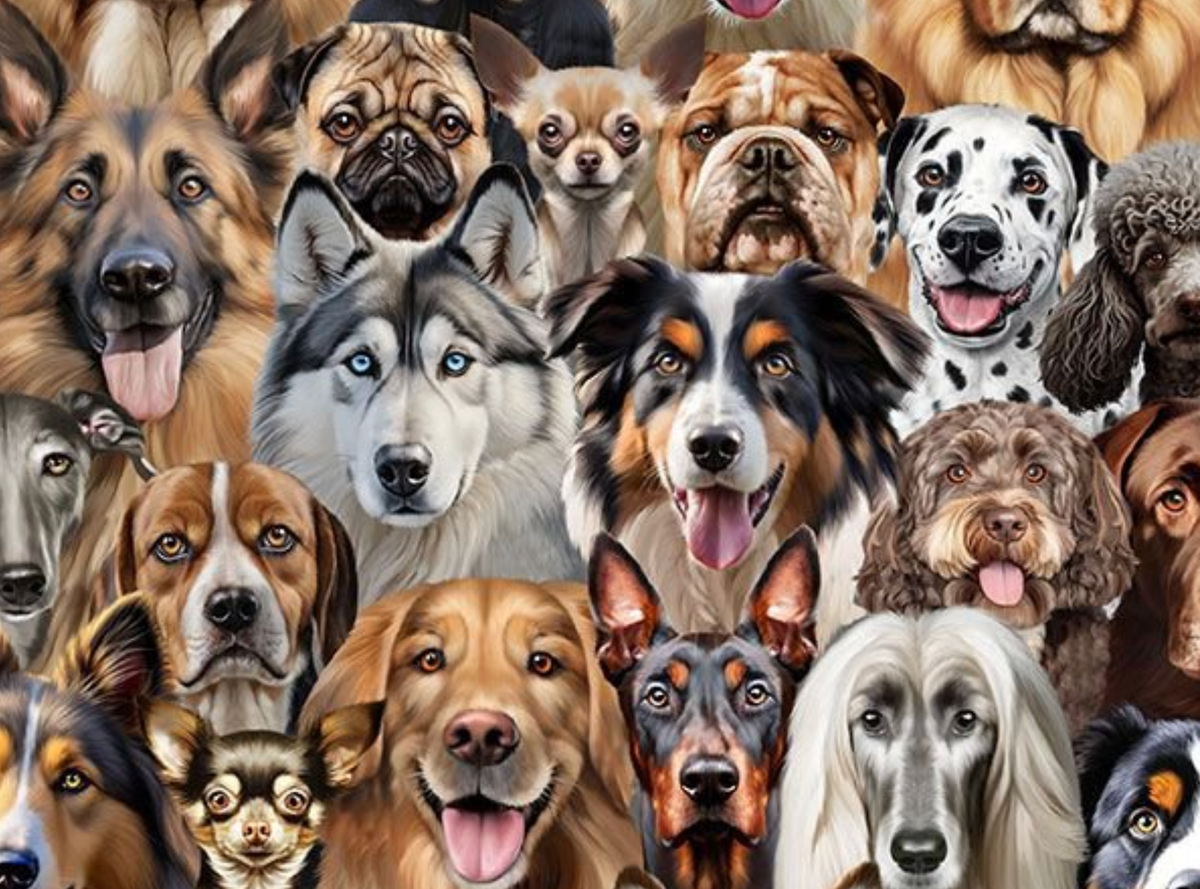 Top Dogs MICHAEL-CD4468 NATURAL Packed Realistic Dogs Michael Searle Timeless Treasures Half Yard
