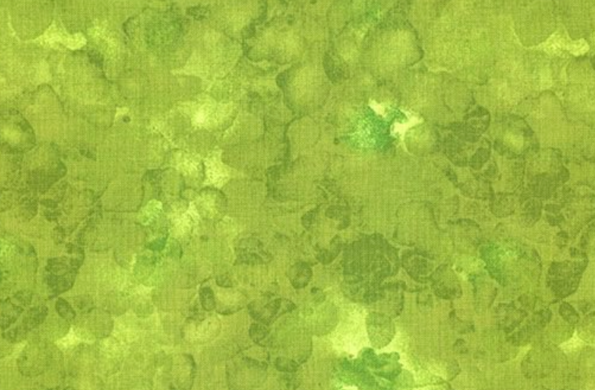 Fairy Forest KIM-C6100 FERN Solid-ish Watercolor Texture Houses Timeless Treasures Half Yard
