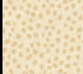 Novella Dotty Allover Neutral NOVE6401 NE Sally Barlow P&B Textiles NOVE6401 NE Half Yard