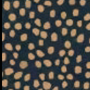 Novella Dotty Allover Navy NOVE6401 N Sally Barlow P&B Textiles  Half Yard