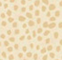 Novella Dotty Allover Neutral NOVE6401 NE Sally Barlow P&B Textiles NOVE6401 NE Half Yard