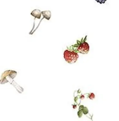 Country Mouse DP29011­-10 Berry Toss White Northcott Half Yard