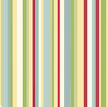 Country Mouse DP29012­-10 Barcode Stripe White Northcott Half Yard