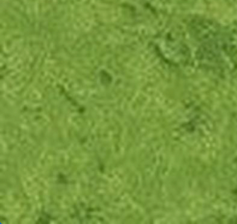 Fairy Frost CM0376-CELE-D Celedon Michael Miller Half Yard