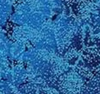Fairy Frost CM0376-CEBL-D Cerulean Blue Michael Miller Half Yard