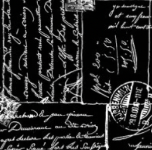 108" Wide Backs WBX9166-BLAC-D Calligraphy Black Michael Miller