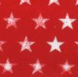 Route 66 DX12524-REDX-D Red Rugged Stars Michael Miller Half Yard