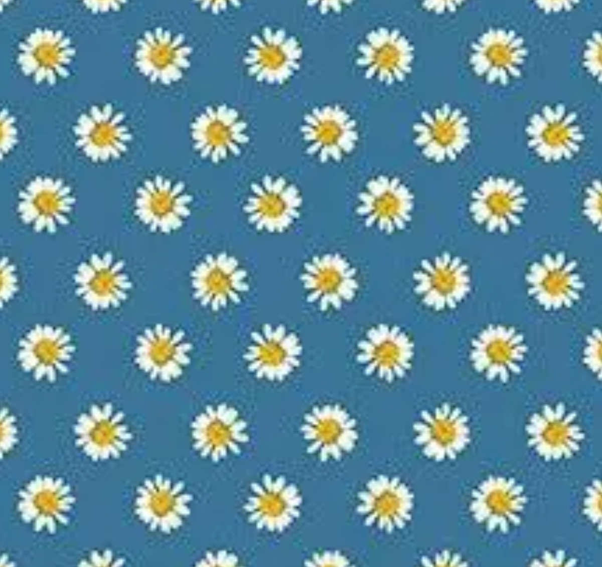 A Prairie Heart 1663555B Dainty Daisy Dark Prairie Sky Benartex Half Yard