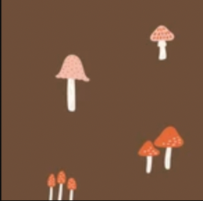 It Was the 70s 229372 March Mushrooms Brown Cloud9 Half Yard