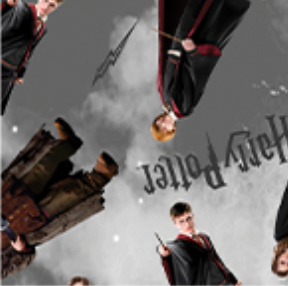 Harry Potter 1521711B Characters Gray Benartex Half Yard