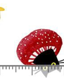 Catwalk Feline Funguys STELLA-DLW3785 WHITE Dear Stella Half Yard