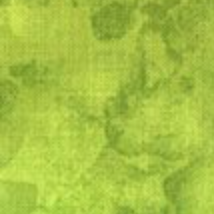 Fairy Forest Solid-ish Watercolor Texture KIM-C6100 FERN Timeless Treasures Half Yard