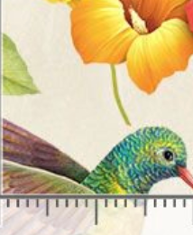 Paradise Found Hummingbird & Tropical Florals ROSIE-CD1915 MULTI Timeless Treasures Half Yard