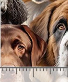 Top Dogs Packed Realistic Dogs MICHAEL-CD4468 NATURAL Timeless Treasures Half Yard