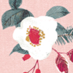 Adventale Floral Wonderland ADV25903 Katarina Roccella Art Gallery Half Yard