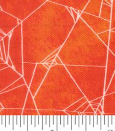 Coven Spider Web Spice 48804 13 Robin Pickens Moda Half Yard
