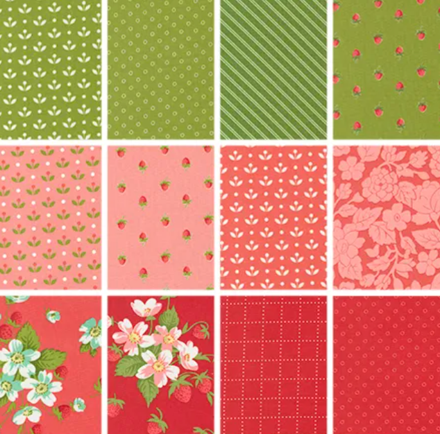 Bloomsberry 40 Pcs Fat Eighth 9 x 22 Cut 55350F8 Camille Roskelley Moda