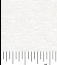 Birch and Willow Spring Dot Cloud White 37728 21 Sherri & Chelsi Moda Half Yard