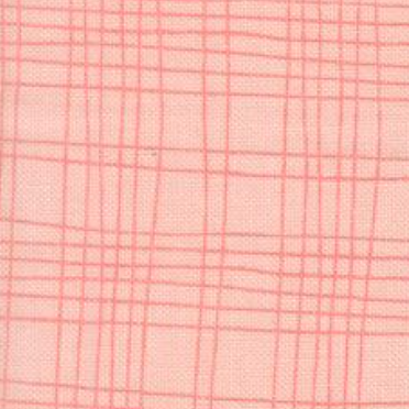 Bug Collector Plaid Blush 55737 14 Sweetwater Moda Half Yard
