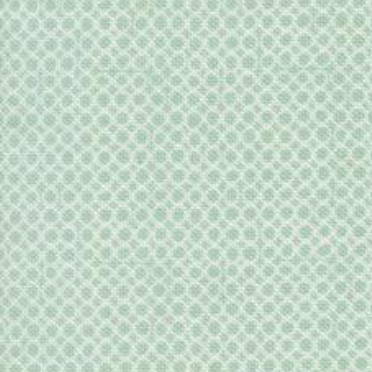 Bug Collector Bug Net Sky 55738 12 Sweetwater Moda Half Yard