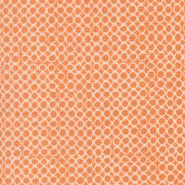 Bug Collector Bug Net Orange 55738 16 Sweetwater Moda Half Yard