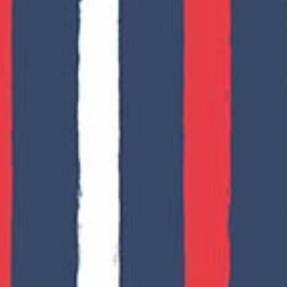 Oh Say Can You Sew Broad Stripes Americana A-10007-B Amy Latta Andover Half Yard