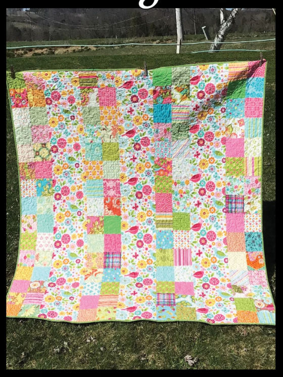 Happy Thoughts Quilt Pattern VRDOQ075 Tricia Lynn Maloney Villa Rosa Designs