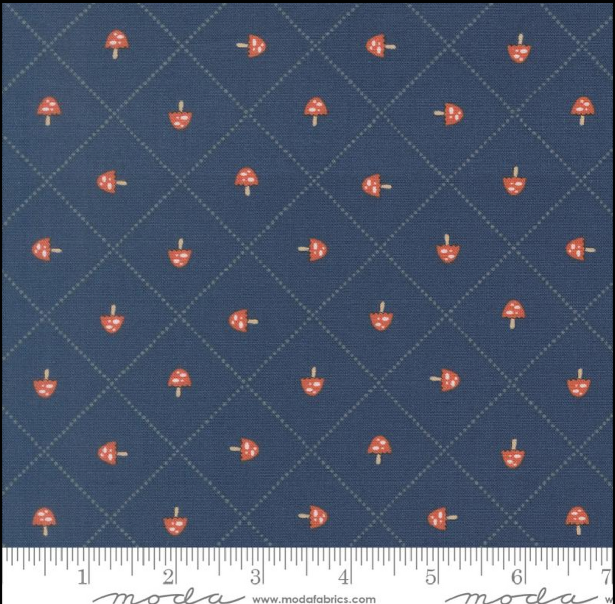 SHOCK DROP! Natures Sketchbook Mushroom 39077 16 Elena Amo Moda Half Yard